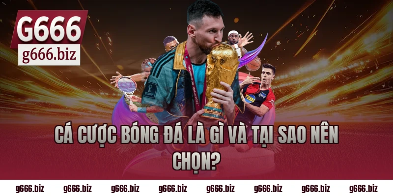 Cá cược bóng đá là gì và tại sao nên chọn?