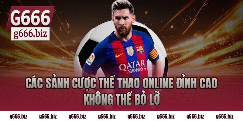 Các Sảnh Cược Thể Thao Online Đỉnh Cao Không Thể Bỏ Lỡ