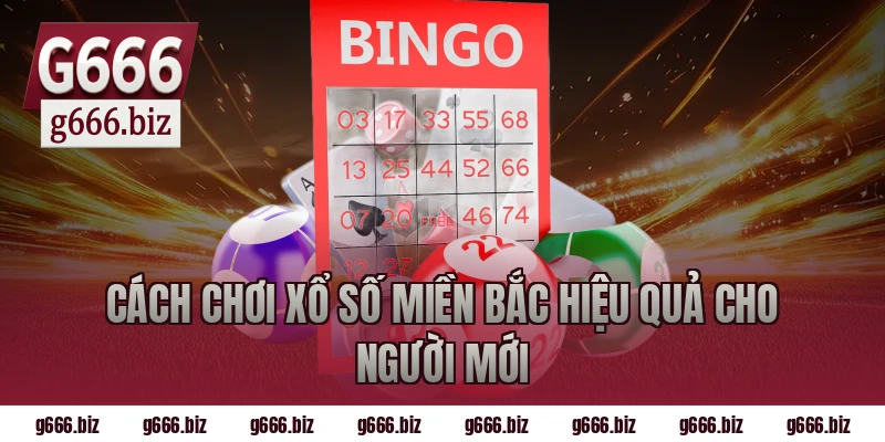 Cách chơi xổ số miền bắc hiệu quả cho người mới