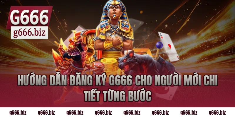 Hướng Dẫn Đăng Ký G666 Cho Người Mới Chi Tiết Từng Bước