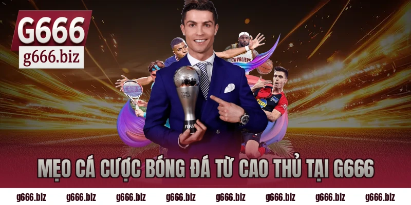 Mẹo cá cược bóng đá từ cao thủ tại g666