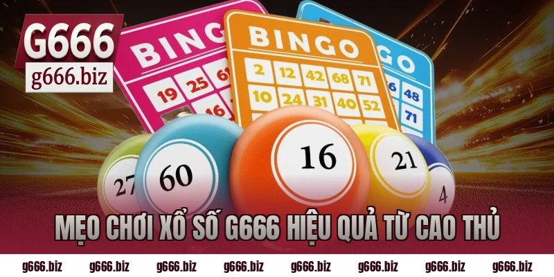 Mẹo chơi xổ số g666 hiệu quả từ cao thủ