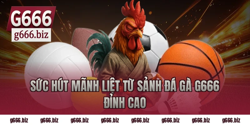 Sức Hút Mãnh Liệt Từ Sảnh Đá Gà G666 Đỉnh Cao