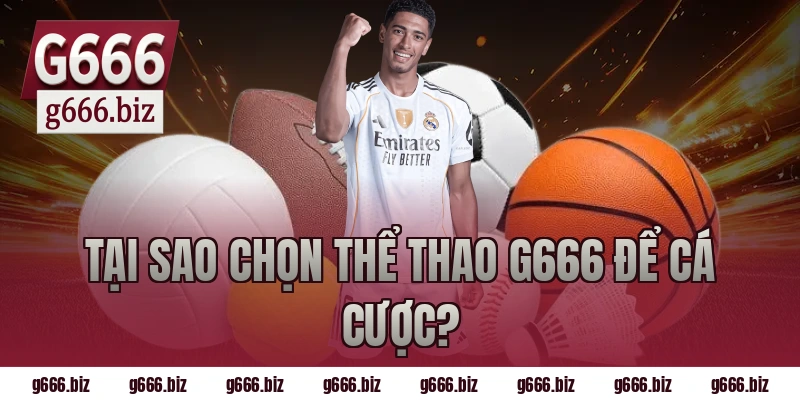 Tại sao chọn thể thao g666 để cá cược?