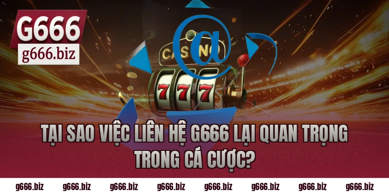 Tại Sao Việc Liên Hệ G666 Lại Quan Trọng Trong Cá Cược?
