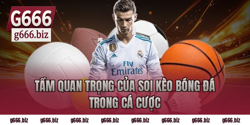 Tầm quan trọng của soi kèo bóng đá trong cá cược