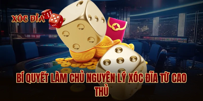 Bí quyết làm chủ nguyên lý xóc đĩa từ cao thủ