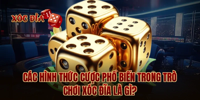 Các hình thức cược phổ biến trong trò chơi xóc đĩa là gì?