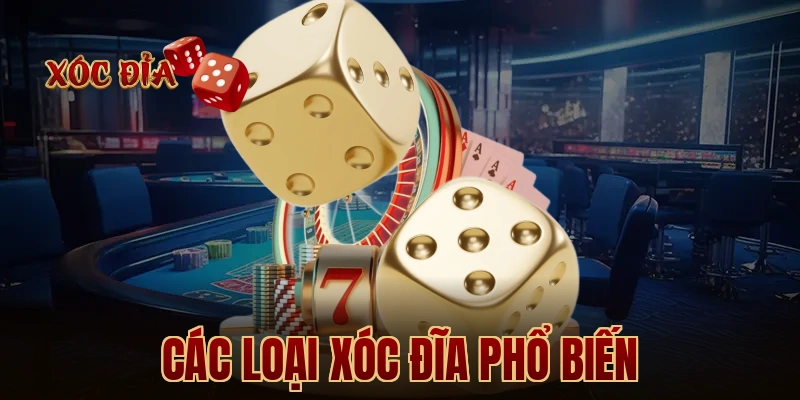 Các Loại Xóc Đĩa Phổ Biến