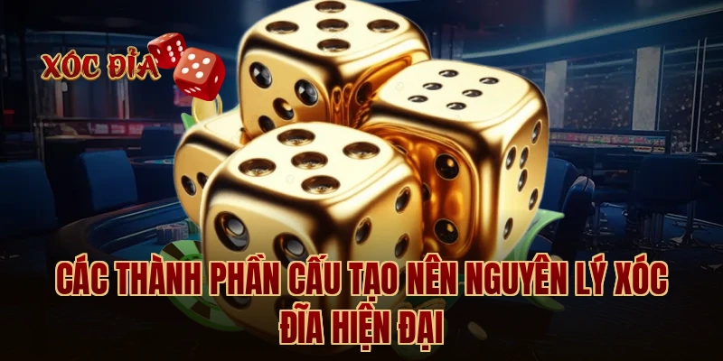 Các thành phần cấu tạo nên nguyên lý xóc đĩa hiện đại