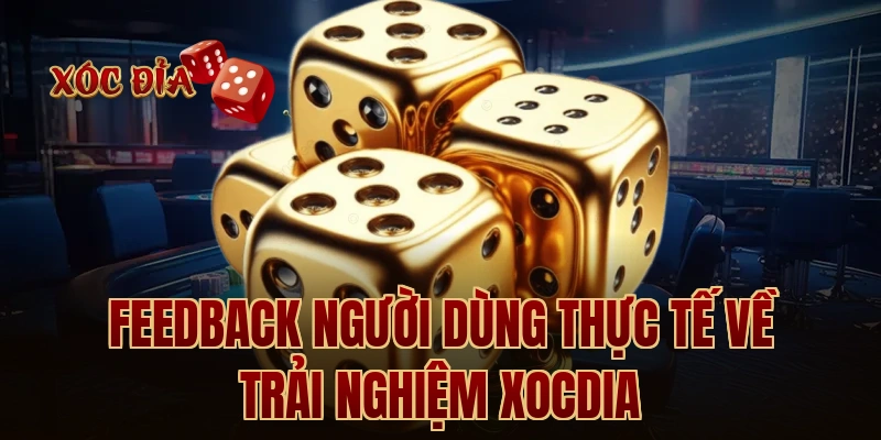 Feedback người dùng thực tế về trải nghiệm xocdia
