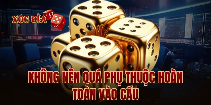 Không nên quá phụ thuộc hoàn toàn vào cầu