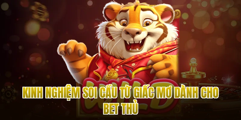 Kinh nghiệm soi cầu từ giấc mơ dành cho bet thủ
