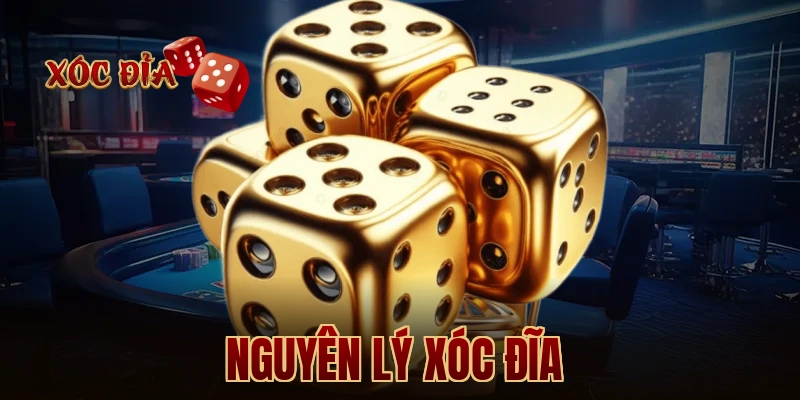 Nguyên Lý Xóc Đĩa 