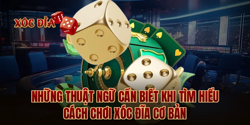 Những thuật ngữ cần biết khi tìm hiểu cách chơi xóc đĩa cơ bản
