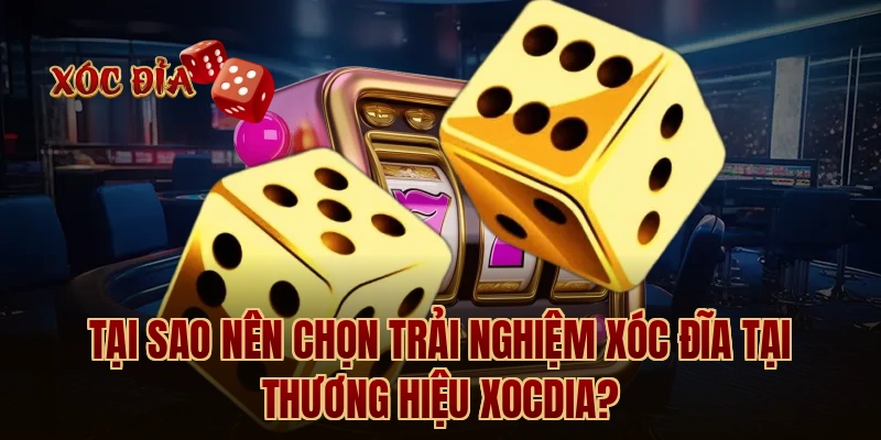 Tại sao nên chọn trải nghiệm xóc đĩa tại thương hiệu Xocdia?